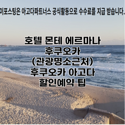 호텔 몬테 에르마나 후쿠오카 (관광명소근처) 후쿠오카 아고다 할인예약 팁