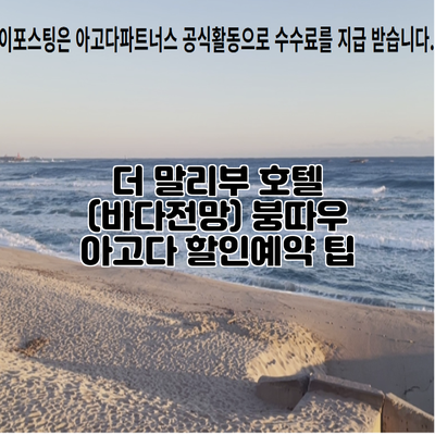 더 말리부 호텔 (바다전망) 붕따우 아고다 할인예약 팁