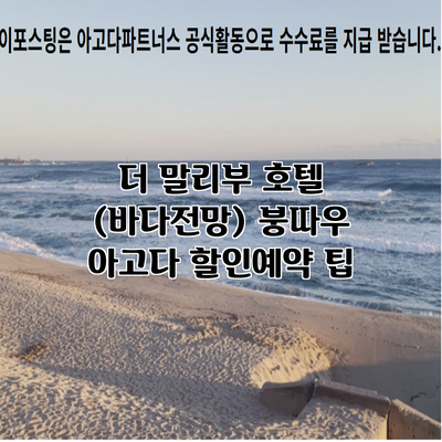 더 말리부 호텔 (바다전망) 붕따우 아고다 할인예약 팁
