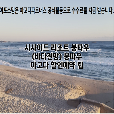 시사이드 리조트 붕타우 (바다전망) 붕따우 아고다 할인예약 팁