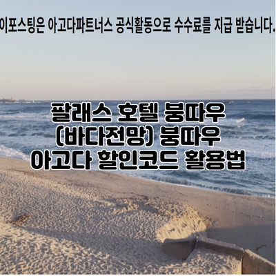 팔래스 호텔 붕따우 (바다전망) 붕따우 아고다 할인코드 활용법