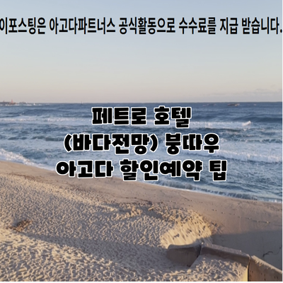 페트로 호텔 (바다전망) 붕따우 아고다 할인예약 팁
